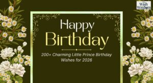 Little Prince Birthday Wishes
